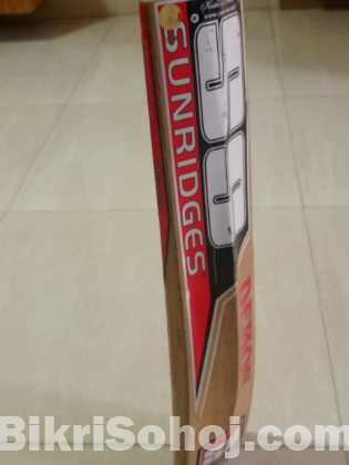 SS Cricket bat