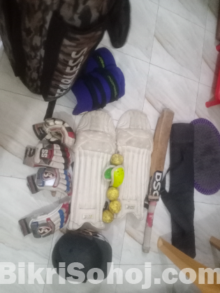 Cricket instruments