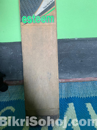 ishan cricket bat
