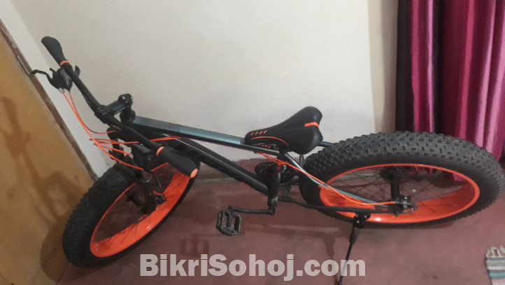 Fat Bike