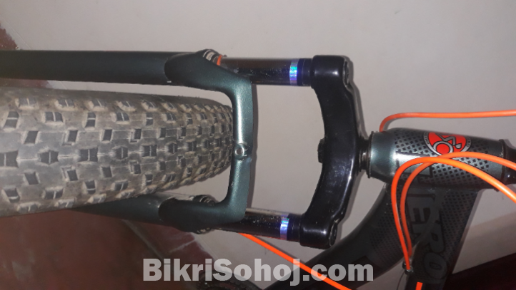 Fat Bike