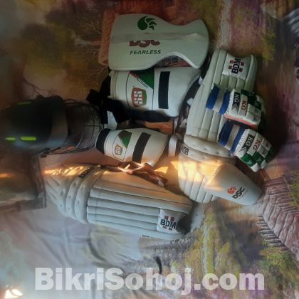 Cricket set