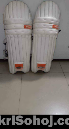 Cricket set