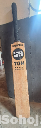 Cricket bat and shous