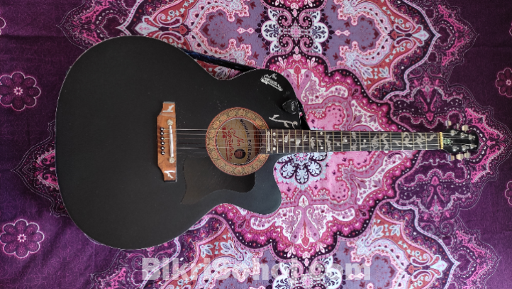 Signature guitar