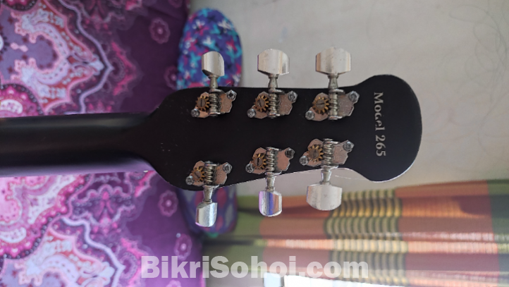 Signature guitar