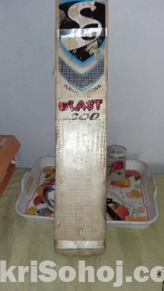 Sg cricket bat ভালো মানের