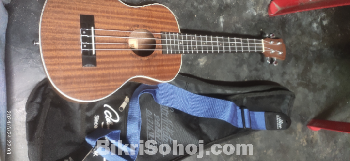 Yamaha ukulele 26 inc
