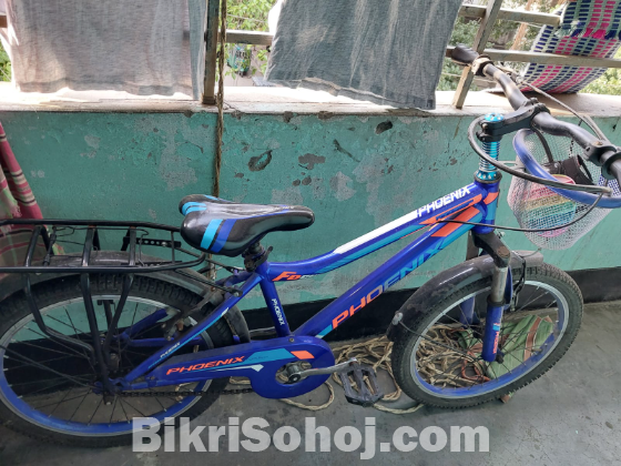 বাই সাইকেল