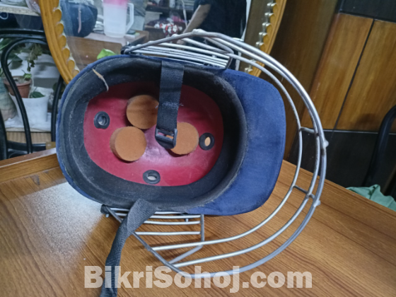 Cricket helmet