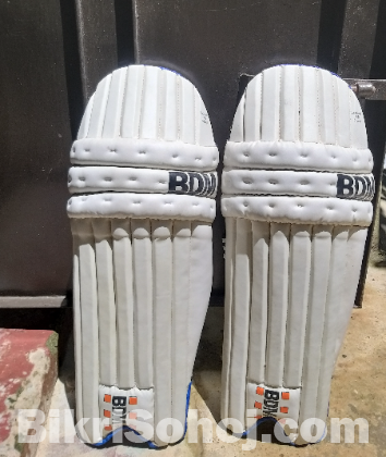 Cricket Bat & Pad