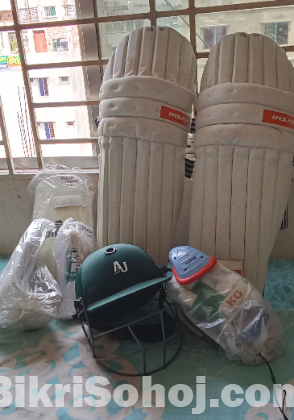 Fresh cricket kit