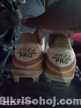 anza pro boot