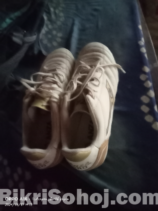 anza pro boot