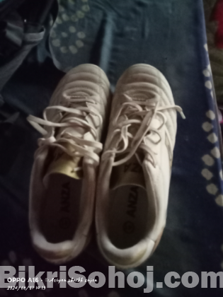 anza pro boot