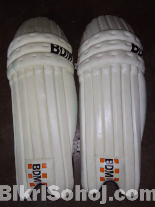 SS cricket set