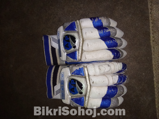 SS cricket set