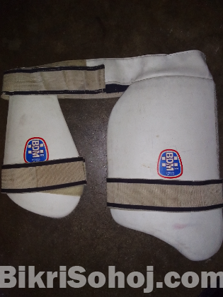 SS cricket set