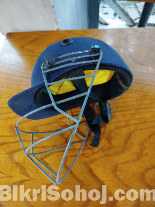 cricket setup  cricket bat