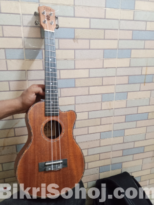 Ukulele 26