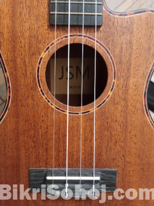 Ukulele 26