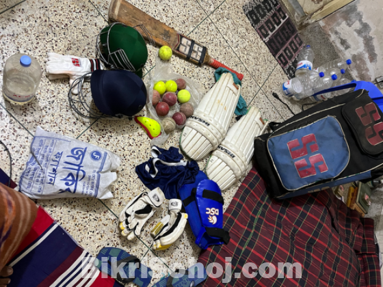 Cricket instrument