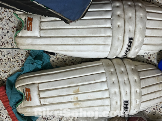 Cricket instrument