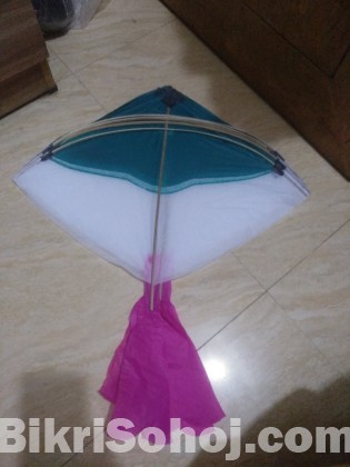 ঘুড়ি (kite)