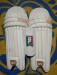 Cricket pads