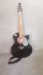 Signature guitar