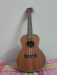 Ukulele