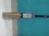 Cricket instrument