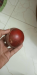 কাঠের বল