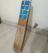 SS cricket bat