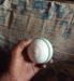 ক্রিকেট বল