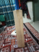 Cricket Bat