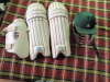 Cricket set