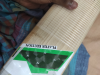Cricket bat for sale