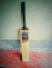 Ihsan X5 cricket bat