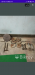 Gym Equipments