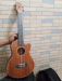 Ukulele 26