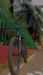 veloce outrage 602