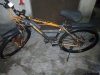 Phonix Boxter MTB 24