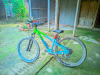 Stun Cycle