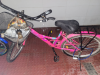 Duranta bicycle 24