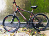 Foxter Cycle