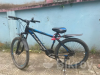 Phonix cycle