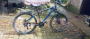 Phoenix gear bicycle