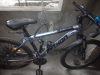 Cycle on python company
