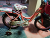 Phoenix kids cycle female